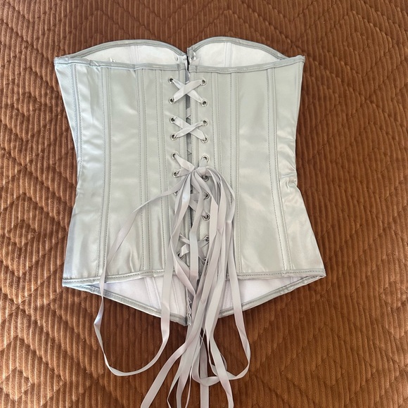 Silver Snakeskin Corset - Picture 2 of 3